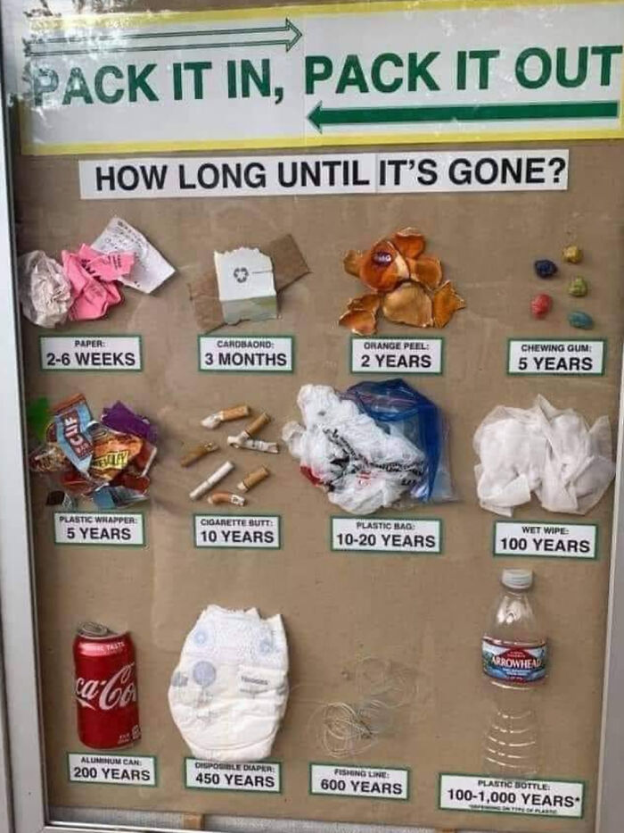 A Cool Guide To How Long It Takes For Things To Decompose