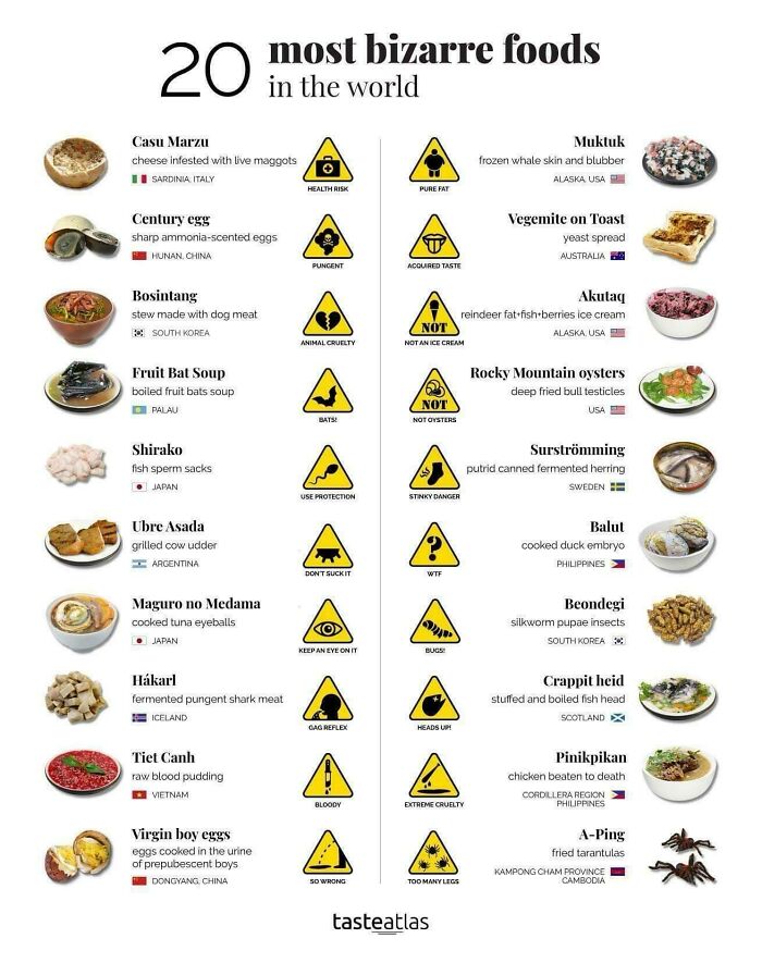 A Cool Guide To Bizarre Foods