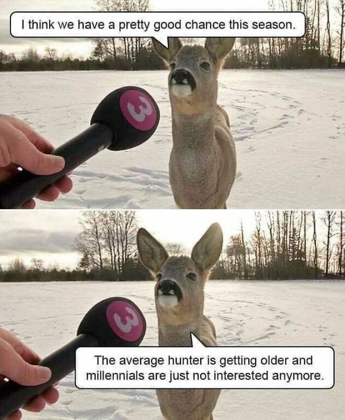 Deer Interview