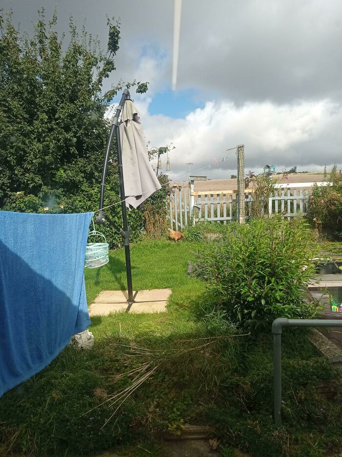 A typical British garden with green grass, a clothesline, and overcast skies, depicting UK humor.