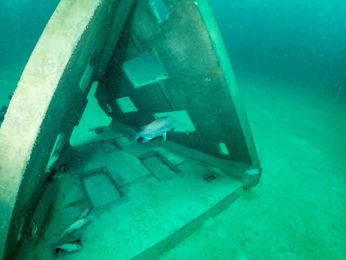 My Dad’s Memorial Reef Has Been On Its Face For 13 Months And We Only Just Got Notified (Details In Comments)