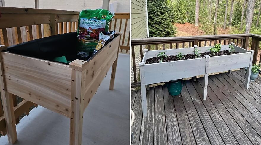 Green Oasis With Elevated Wood Planter Box. Bring Garden To Your Balcony