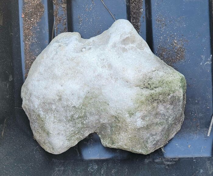 Hey Australia... Found A Rock That Kinda Looks Like You In A Creek In The Middle Of The Us