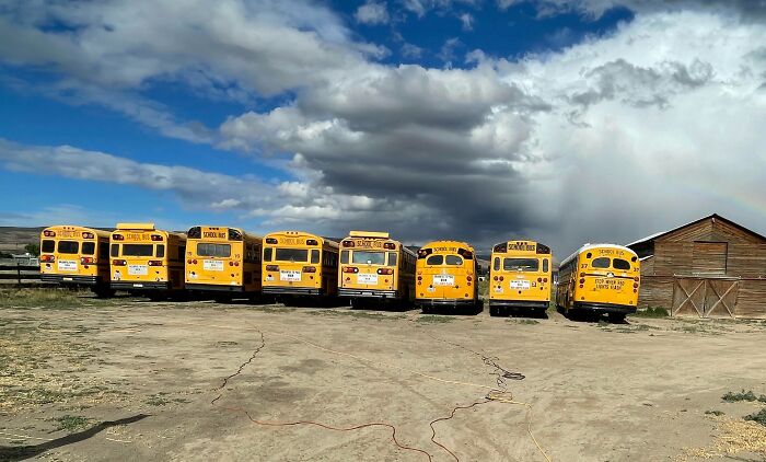 My Boyfriend Owns An Entire Fleet Of Vintage School Buses