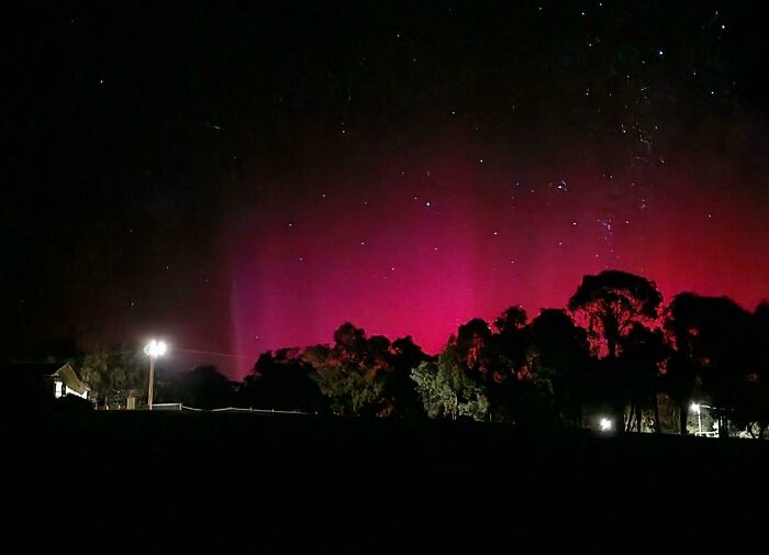 Aurora Australis While Walking My Dog This Morning