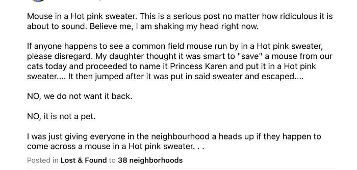 Be On The Look Out For A Hot Pink Sweater Mouse. The Best Nextdoor Post Ever