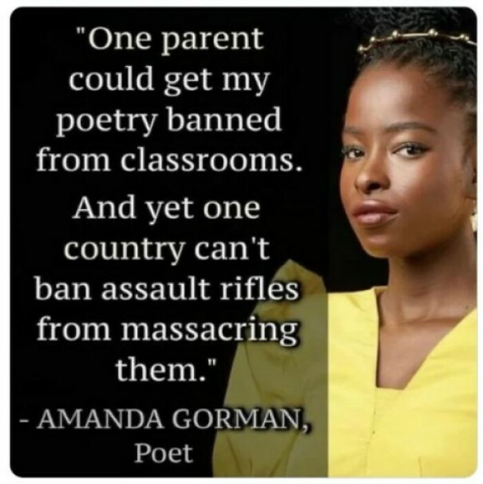 Funny yet sad quote on societal issues by a poet, highlighting disparities in censorship and gun laws.