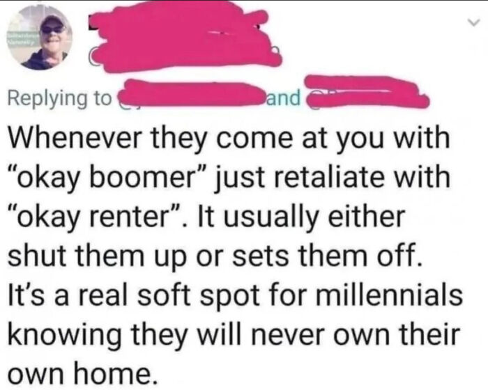 Text post comparing "okay boomer" with "okay renter," highlighting millennial struggles; funny yet sad theme.