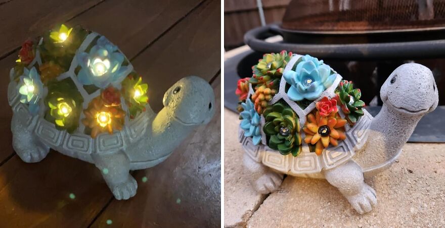 Even Turtles Love Succulents! Check Out Nacome’s Solar Garden Statue