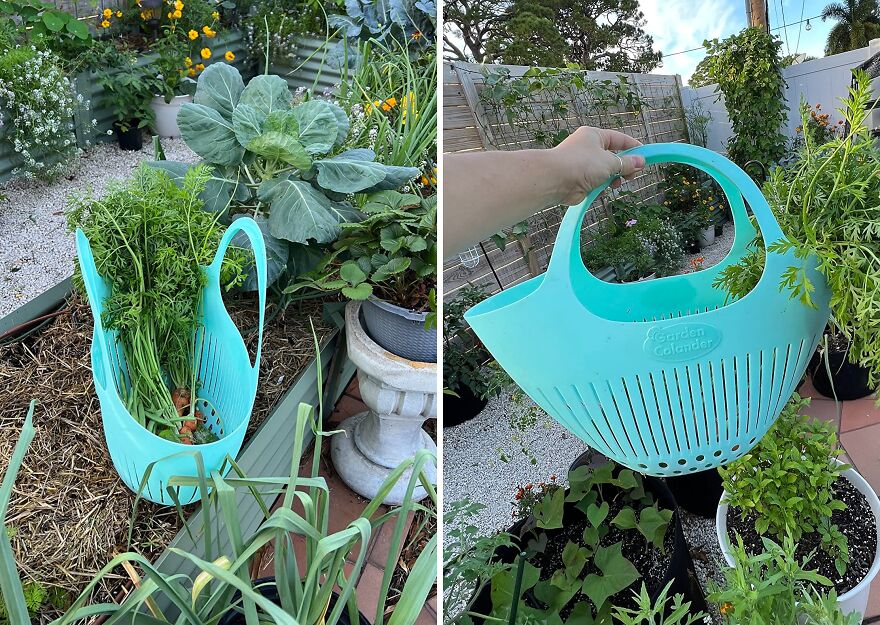 Your Fresh Picks Meet Hutzler Garden Colander For A Quick Clean