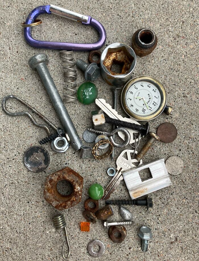 A Collection Of Stuff I’ve Found On Daily Walks Through My Neighborhood In The Last Year Or So