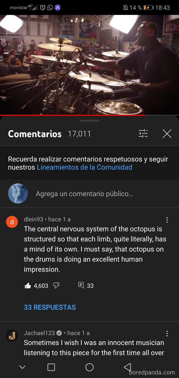 Rare compliments highlighting a drummer&rsquo;s skill in an online video comment section.