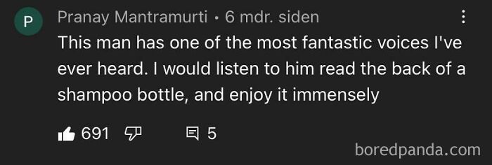 Online comment about a man&rsquo;s fantastic voice, expressing enjoyment of listening even to mundane text like shampoo bottles.