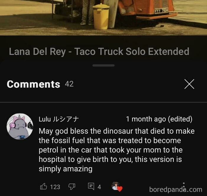 Screenshot of a rare compliment in a YouTube comment under a Lana Del Rey song video.