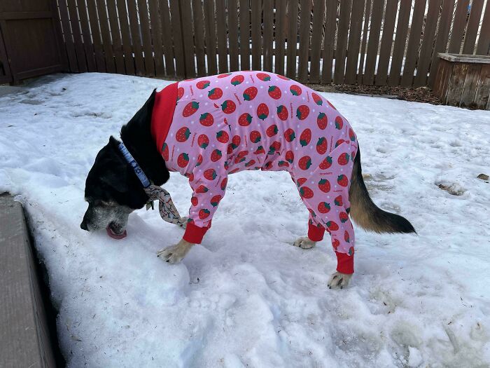 Stoned Out Of Her Mind After A Biopsy And Licking Snow