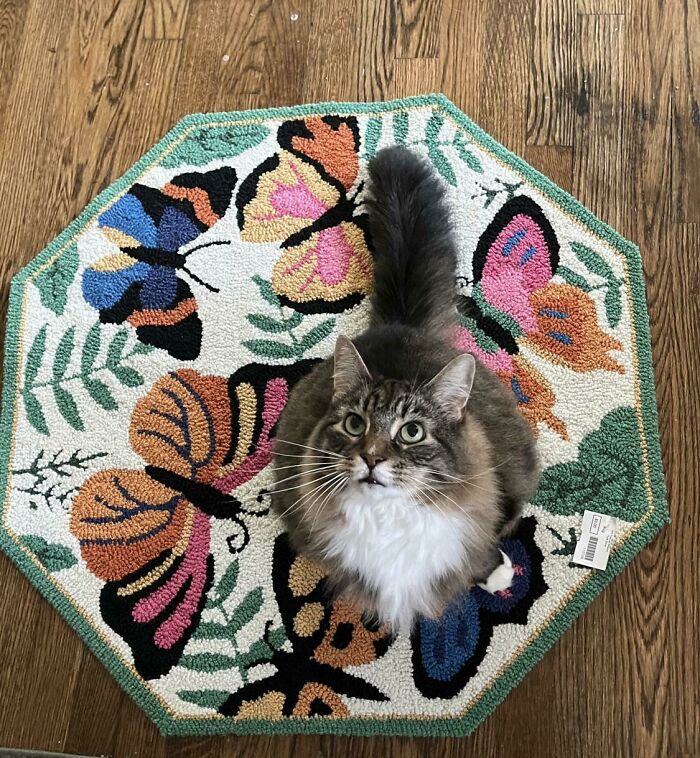 $3 Rug For My 3 Year Old Daughter’s Reading Corner