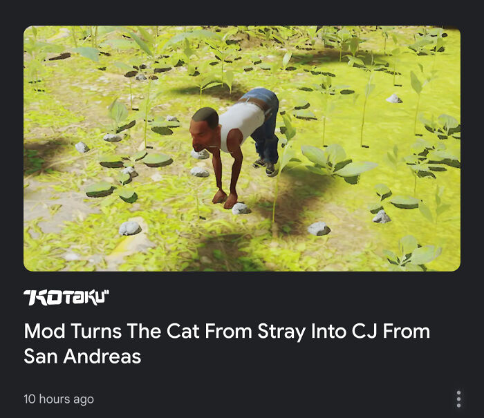 Video game character CJ modded to walk like a cat in a green field, showcasing unexpected gaming creativity.