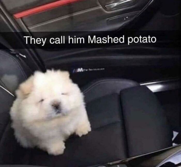 Blessed Mashed Potato