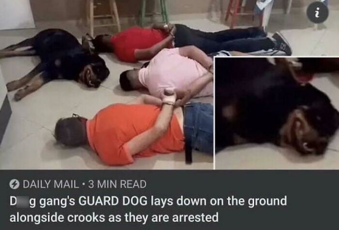 Blessed Arrest