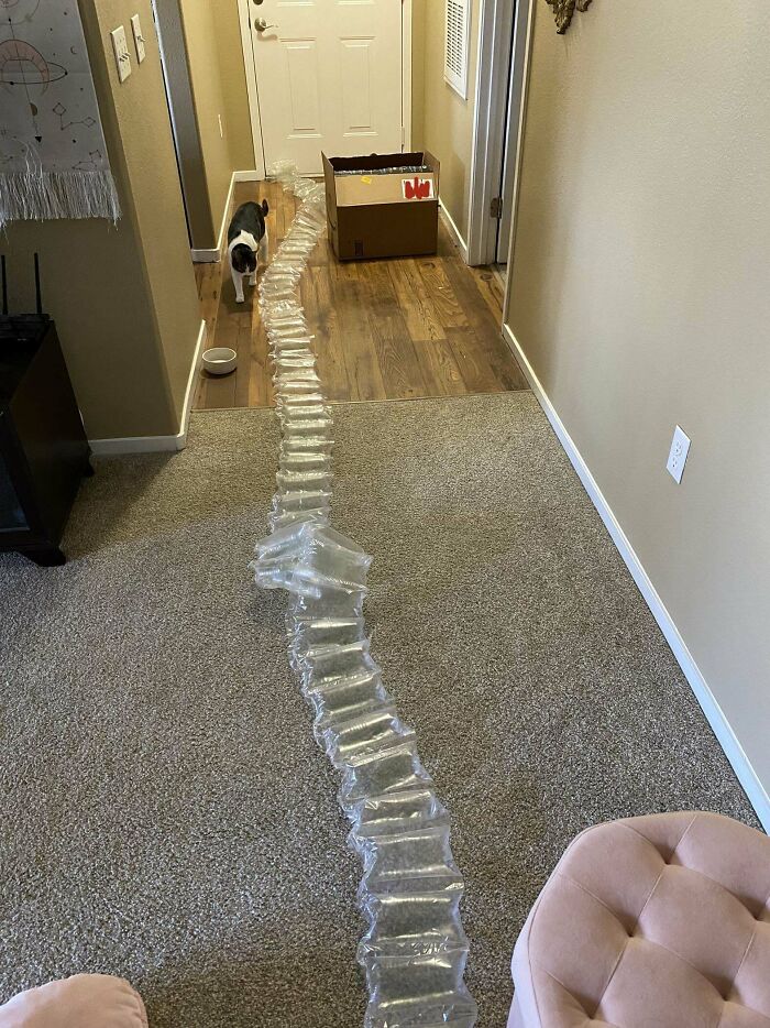 Excessive product packaging with air cushions filling a hallway, illustrating inefficient package design.