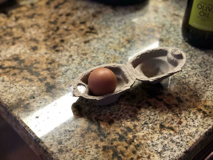 Egg packaging design fail with a single egg in a large carton on a granite countertop.