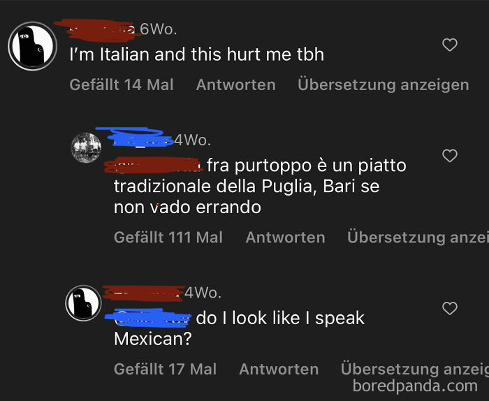 Comments showing misunderstanding about language and culture among Americans.