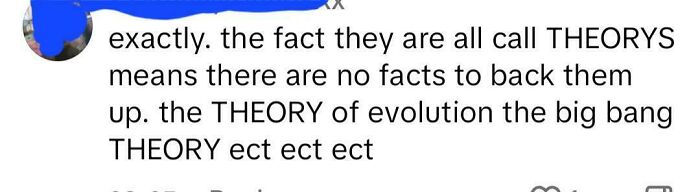 Screenshot of a comment showcasing an overly confident yet incorrect statement about scientific theories.