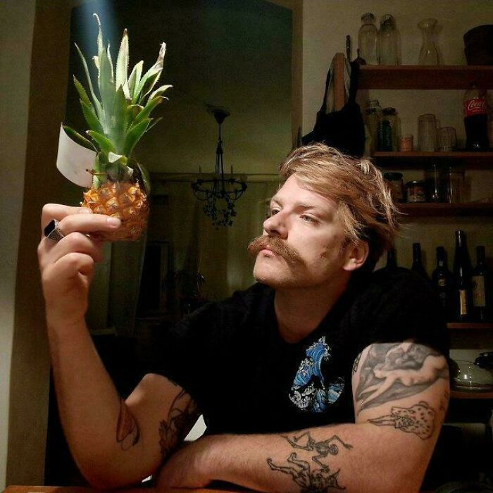 Man Observes Tiny Pineapple