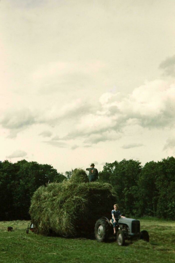 Mi abuela (todavía viva a los 96 años) y su padre empacando heno en la granja familiar de Clintonville, años 40