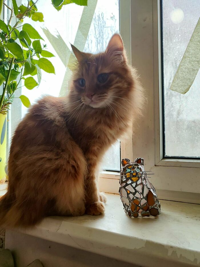 Sea Glass Cat. Well, Several Of Them