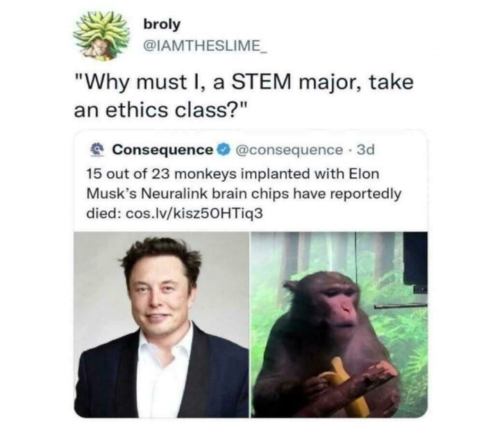 A 65% Fatality Rate For The Elon Brain Chip