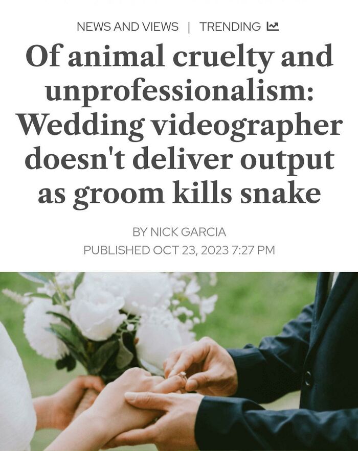 Videographer Walks Out Of Wedding After The Groom Kills A Snake In Front Of Guests During Reception