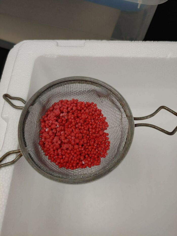 Medical case: red granules in a metal sieve, showcasing a unique characteristic of the human body.