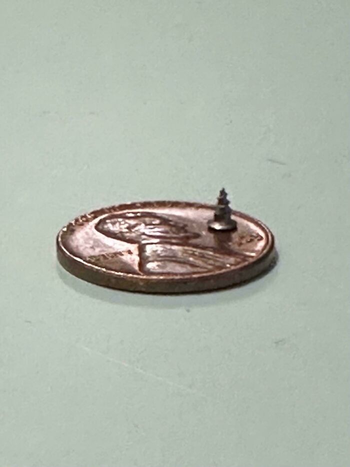 Tiny medical screw next to a penny on a light green surface, highlighting an interesting medical case.