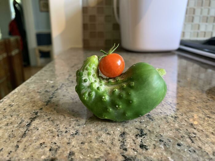 Our Bountiful Harvest Last Year