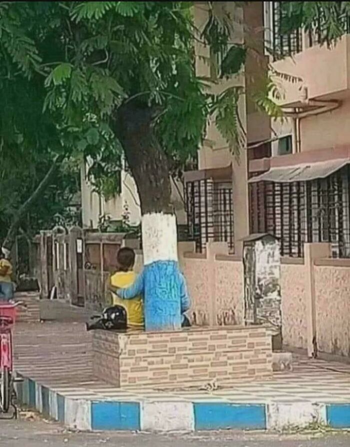 El árbol más amigable