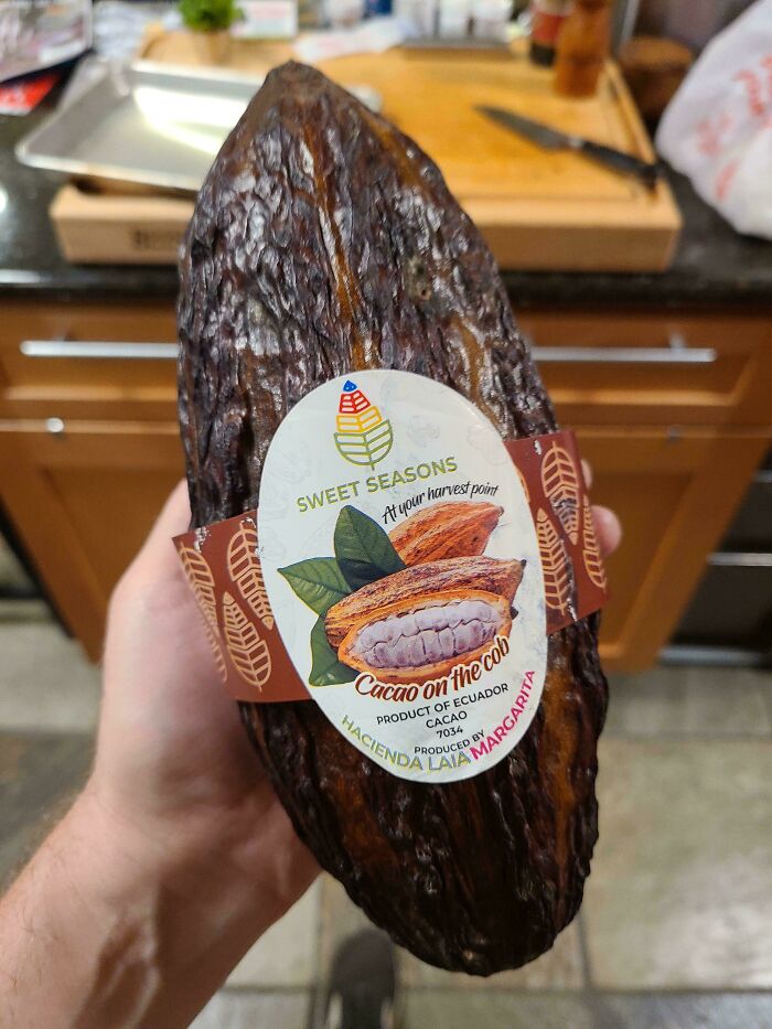 My Grocery Store Has Cacao Pods (I Got One)