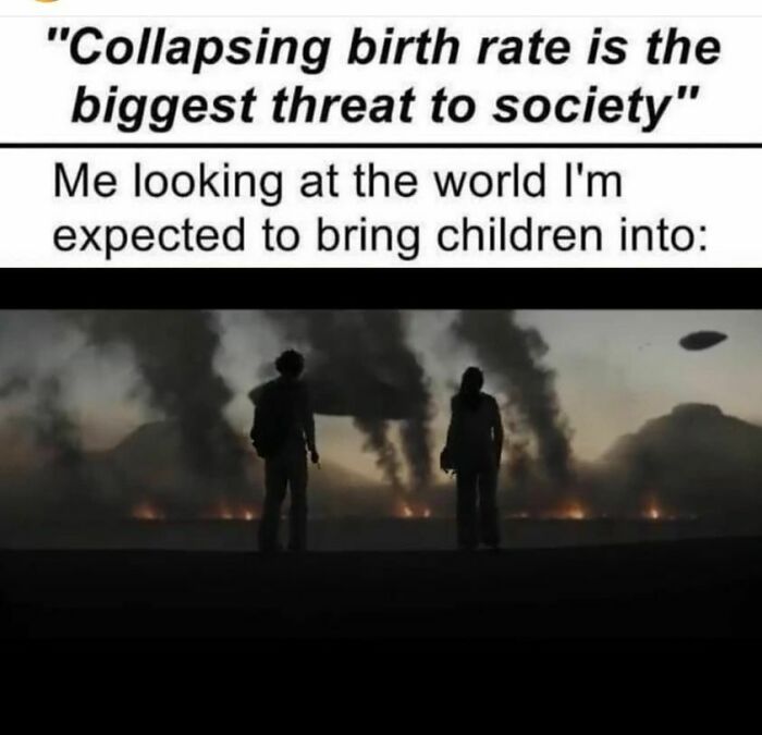 Collapsing Birth Rate Lol