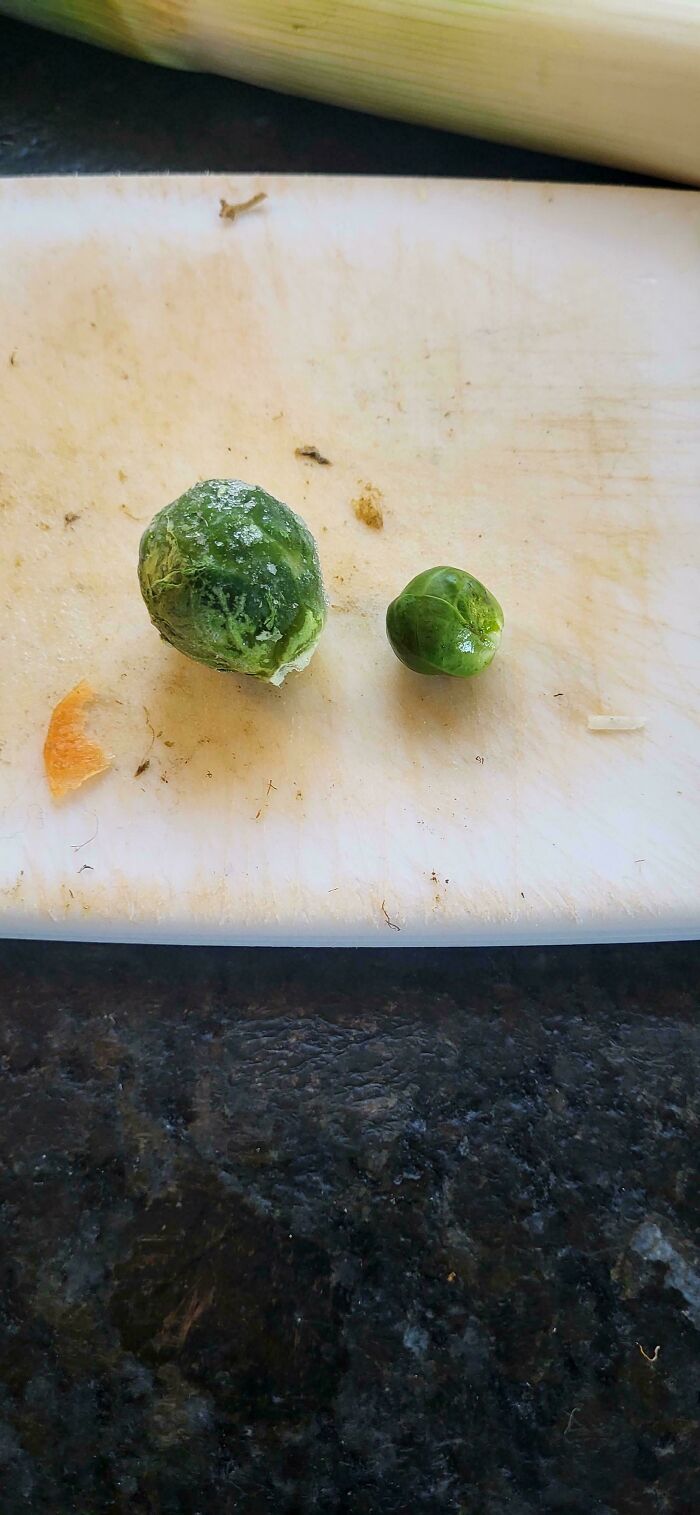 You vs. The Brussels Sprout She Told You Not To Worry About