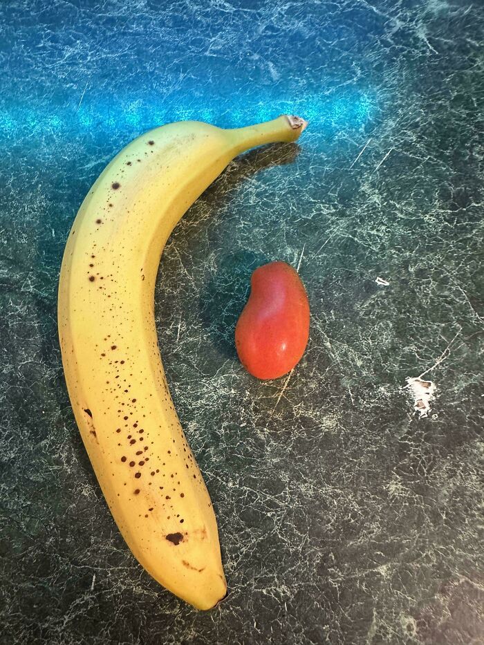 First Tomato Of The Season In South Florida. Banana For Scale