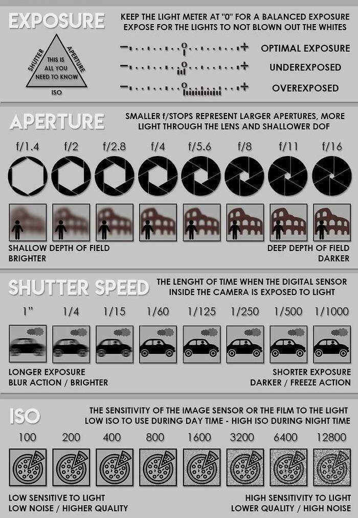 A Cool Guide About Photography