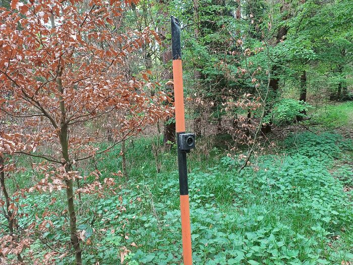 Pole With An Electrical Socket In The Forest