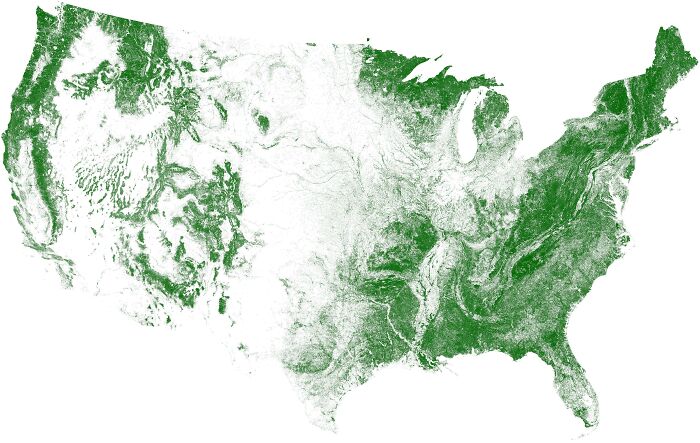 Zonas con árboles en EEUU