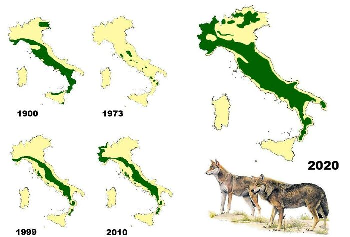 Distribución de lobos en Italia entre 1900 y 2020