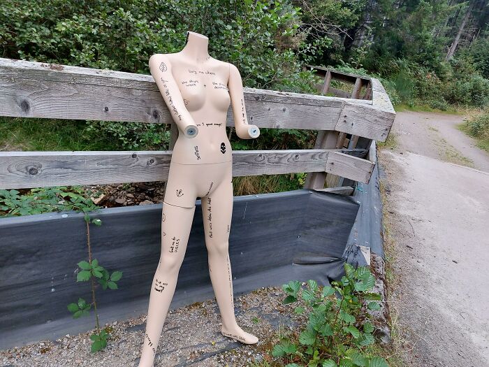 Just A Mannequin In The Forest