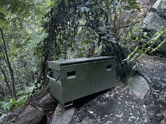 A Mysterious Green Box Appears In The Middle Of A Forest. It’s Locked Shut And Chained To A Tree In Dardanelles Pass At The Bottom Of The Giant Stairway