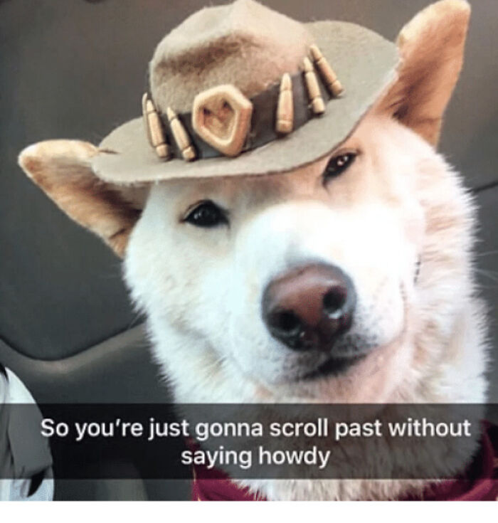 Blessed_howdy