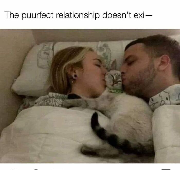 Puurrrrfect Relationship ❤