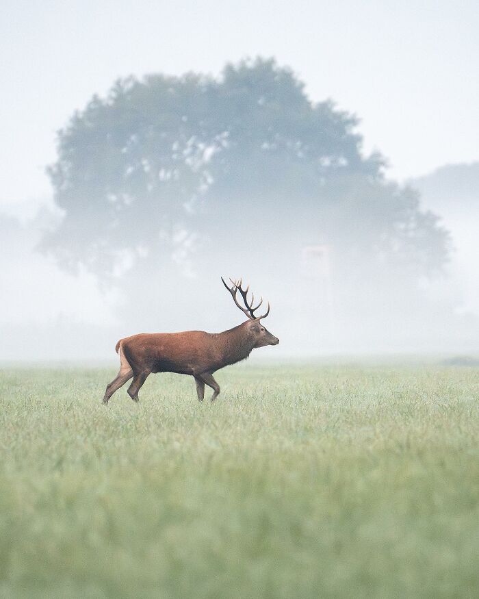 Wildlife Photography By Alex Ugalek