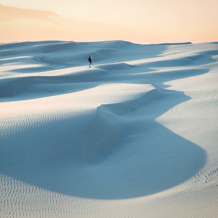 Into The Wild With Daniel Ernst: Capturing Nature's Majesty